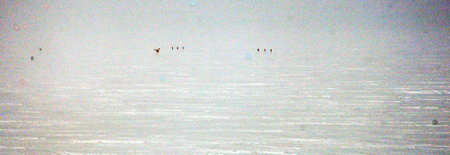 Today?s view toward the skiway from camp.