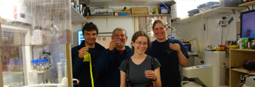 Den succesfulde analyse af de første 100 m iskerne i CFA laboratoriet fejres.