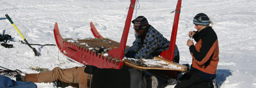 One person, 22 dogs and a sledge are preparing to be flown out on Friday