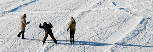 Den store iskappe indbyder til en tur på langrendski